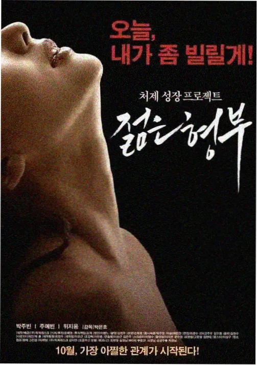 韩国电视剧机智的医生生活海报